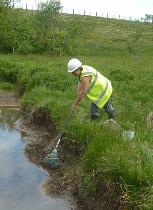 Re-seeding settlement pond edge